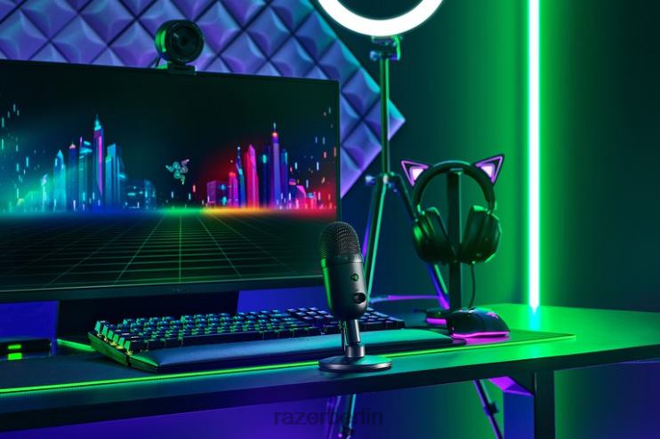 Razer seiren v2 x Inhaltserstellung eine Farbe 46PD109