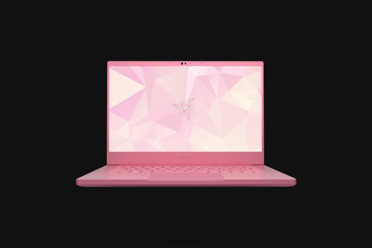 Razer Passen Sie Ihre Klinge an 14 Laptop eine Farbe 46PD4