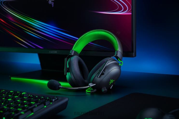 Razer Blackshark v2 Sonderedition Gaming-Audio Schwarz 46PD86