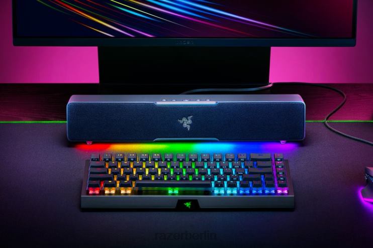 Razer Leviathan v2 x Gaming-Audio eine Farbe 46PD84
