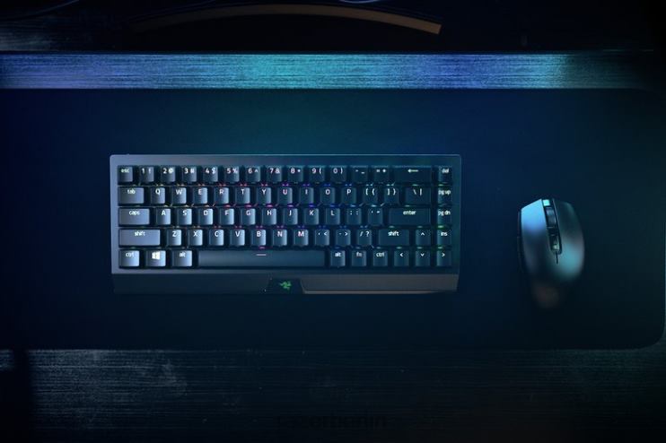Razer Blackwidow v3 Mini Hyperspeed – gelber Schalter – uns Tastatur Schwarz 46PD63